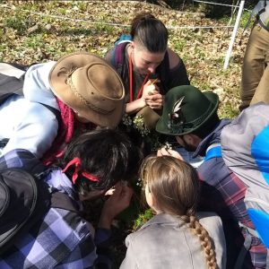 Chasse au trésor végétal
