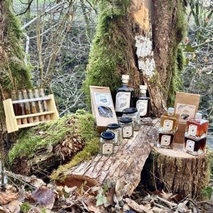 herbula viola stand marche