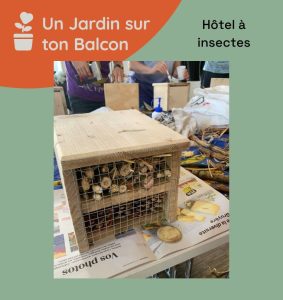 Assemblage de mini-hôtel à insectes