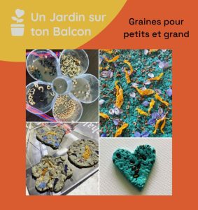 Graines pour petits et grands