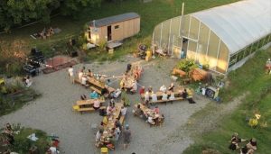 Solea Community