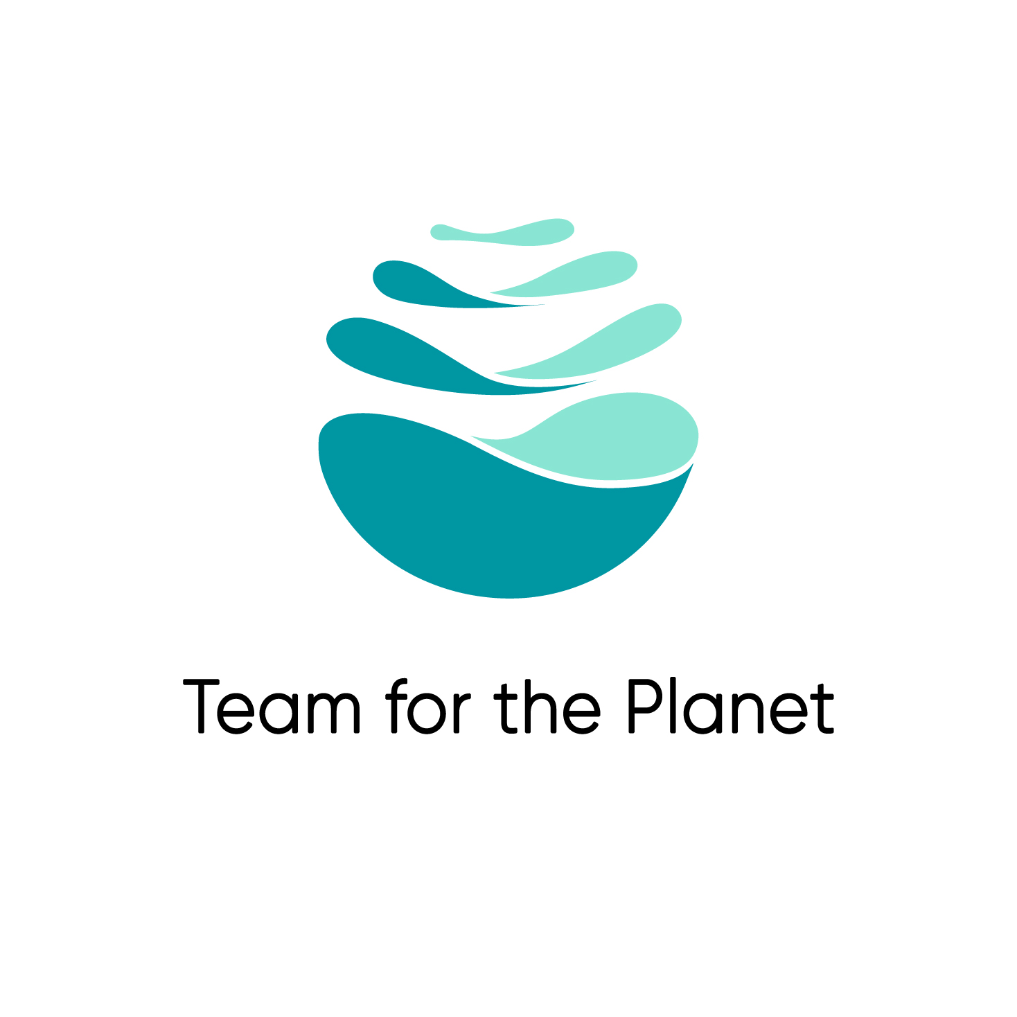 TeamForPlanet_Logo