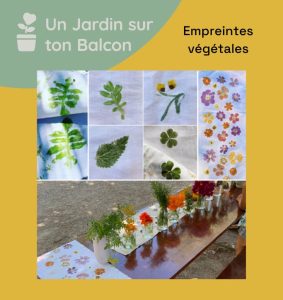 Tataki Zomé – empreintes végétales